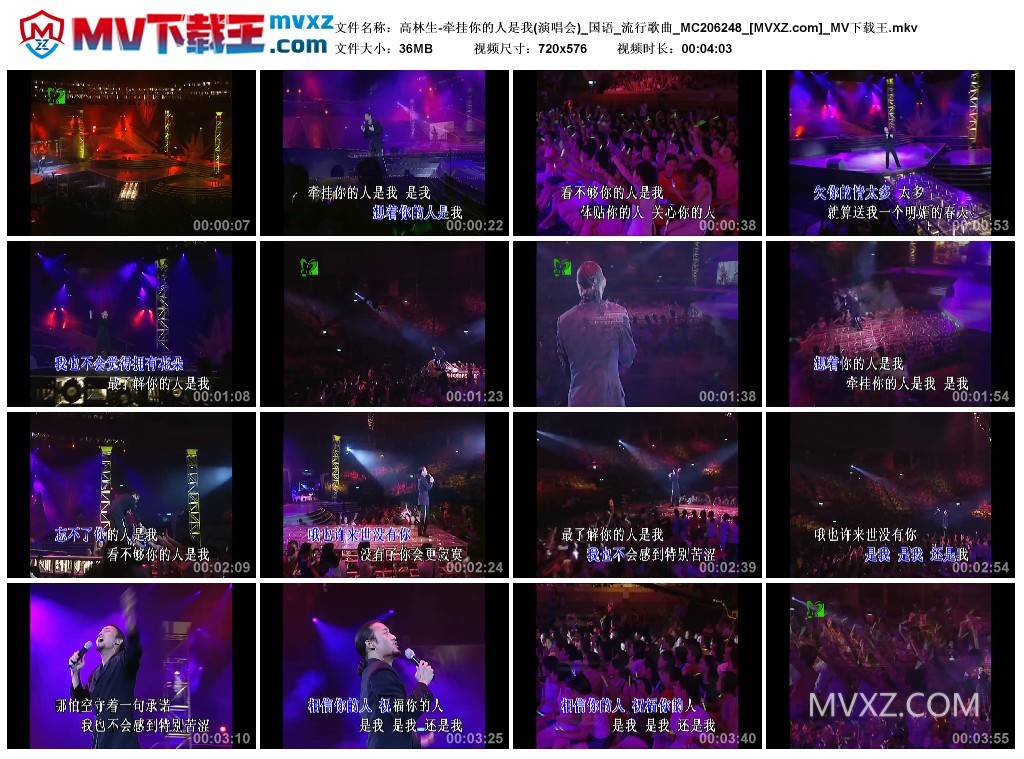 高林生-牵挂你的人是我(演唱会)_国语_流行歌曲_MC206248
